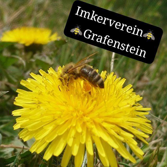 Imkerverein